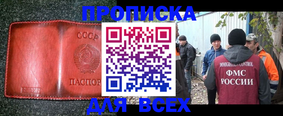 временная регистрация поиск в Приозерске
